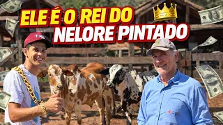 VOU COMPRAR OUTRO NELORE PINTADO🤩
