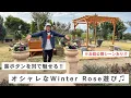 Lagu まだまだ続く！オニちゃんガーデンプロジェクト⭐葉ボタンで大人シックなセンスup冬庭✨