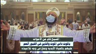 قسمة قداس عيد الصعود 2022 القس بيشوى فخرى 