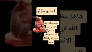 شاهد عظمة خلق الله في قلب الانسان فيديو مؤثر شاهد للنهاية الانسان يضح نحو 7600 لتر من الدم يوميا 