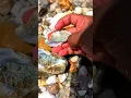 Download Lagu wah batu ini isi dagingnya warna hijau sungguh beruntung #gold #lovestones #nature #river #fyp