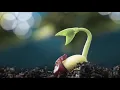 THE GARDEN SONG