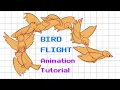 Bird Flight Animation Tutorial