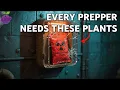 Download Lagu Stralingsbestendige planten: 15 nucleaire overlevenden die uw leven kunnen redden in tijden van c...