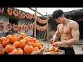 Download Lagu Crafting Sweet Persimmon Cakes With Time-Honored Technique To Savor Autumn's First Sweetness!