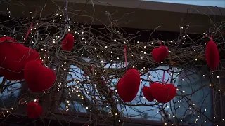 انا جيت اسكنك واضيع فيك كاملة  دندنها