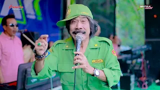 camelia music musik m lukito ipeka on dinamis lebak kauman pakis aji jepara