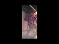 SEEDHE MAUT - UNRELEASED TRACK (UNOFFICIAL MUSIC VIDEO) #hiphopmusic #seedhemaut #trending #calm