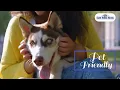 Pet friendly Outer Banks Hotels Hatteras NC Hotels with Swimming Pool