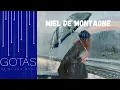 MIEL DE MONTAGNE - Trop Vite