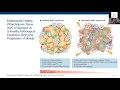 Adipose tissue as endocrine organ