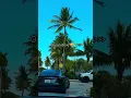 Download Lagu 😩I miss Miami get me out of here like right now #miamovie #miami #travel