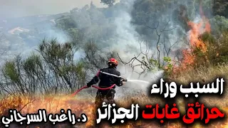 السبب وراء حرائق غابات الجزائر 