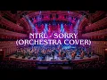 Lagu NTRL/Netral - Sorry | Orchestra Cover By SM Music Cover ID