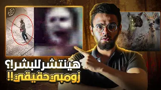 فيروس الزومبي يصيب البشر قريبا زي ما حصل للحيوانات حبيب 