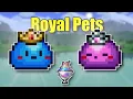King Slime and Queen Slime Pets in Terraria