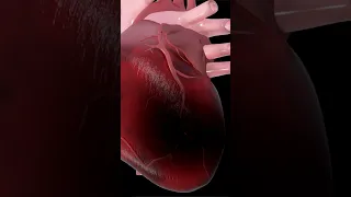 متى يكون الخفقان خطير 