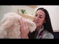 Welcome to Bond Vet