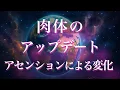 Download Lagu 【銀河の扉〜スターシード覚醒とアセンションの鍵〜】【次元上昇】アセンションで起こる肉体の変化とは？アップデートで体験する世界