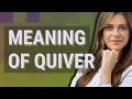 Quiver meaning of Quiver