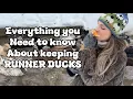 Everything You Need To Know About Keeping Runner Ducks