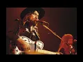 Waylon Jennings "Songbird"
