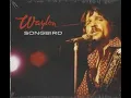 Download Lagu Waylon Jennings \