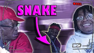 Snake Prank SUPER HILARIOUS MUST WATCH
