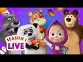 π΄ LIVE STREAM π¬ Masha and the Bear π§π» Season 1: All episodes ππ