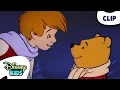 Lagu Pooh Wishes On A Star 💫 | The New Adventures of Winnie the Pooh | @disneykids