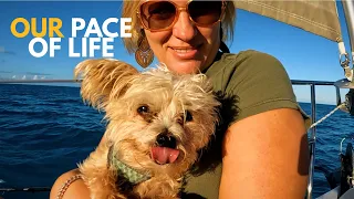 Long Island Longings, Leisure Sailing, and Sorta Catching Mackerel (Ep.162)