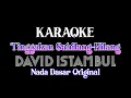 Download Lagu Karaoke Tinggakan Sahilang hilang - David Iztambul ( HD AUDIO )