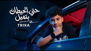 مهرجان حتي الحيطان بتميل   شكرا   تريكة كلمات محمد الفنان   صابر مزيكا      دندنها
