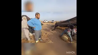 موسم الج ز الزاز عند الزرقان بن مهيرة تطاوين ماي 2023 