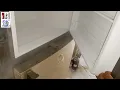 Refrigerator suction line ice reason|how to remove ice from refrigerator suction line|ice on suction