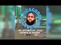 CHICAGO DO s DONT s - Most Dangerous Gas Stations Cermak Damen