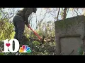 Volunteers clean up historic cemetery burial place of many Black families