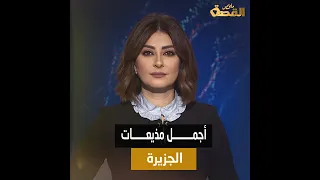 What You Don T Know About Salma El Gamal She Worked At Al Jazeera By Chance And A Dance Video C 