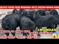 Lagu 😱2026 BOSHLANDI 2MILN 400MING KELDI BO’G’OZ QO’YLAR 12 OYLI TOJIK PARODA XISORI KELDI SHOSHILING