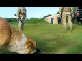 Download Lagu KAMPTA ÇADIRIMIZIN ÖNÜNDE SİLAHLI ASKERLERİ GÖRÜNCE ŞOK OLDUK