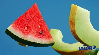 دومتى Blends كله حكايات احنا نعمل اى حاجة علشان تشرب احلى Blends بس أنت قول دومتي 