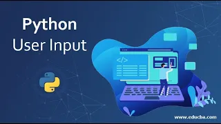 Python Tutorial User Input