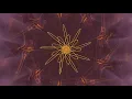 Download Lagu Botanique Orangerie Session 2022 - Tangerine Dream