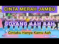 Download Lagu CINTA MERAH JAMBU - GOYANG AAH - SENAM KREASI CINTAKU HANYA KAMU AAH AERODANCE @AdindaAeroZumba
