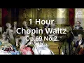 [1Hour] 쇼팽왈츠 Chopin Waltz Op.69 No.2