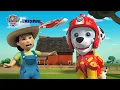 Download Lagu Marshall and the Farm Fire | PAW Patrol: To The Rescue | Cartoons for Kids
