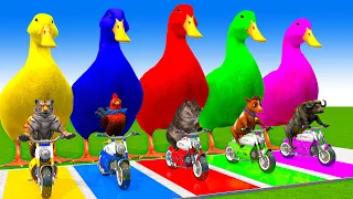 5 Giant Duck Cartoon Cow Elephant Tiger Lion Dinosaur Paint Wild Animals Crossing Fountain Animation 