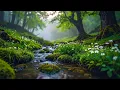 Download Lagu Birds Chirp Sweetly In The Early Morning Mist As Streams Meander Softly Through Moss-Covered Stones