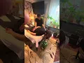 Thai Trigger Point Massage Benz Thai Massage and Spa Brampton Canada