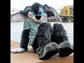 Antrocon Pittsburgh s friendship with Furries